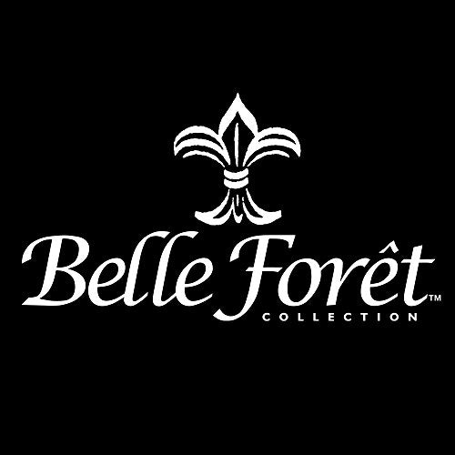 Belle Foret SS-WHLX78208 Traditional Wall Mount 1-Handle Vessel Filler in Stainless Steel by Belle Foret